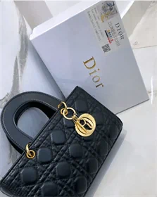 תיק dior